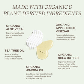 Ingreendients shampoo lather close-up demonstrating gentle foam and effective cleanse