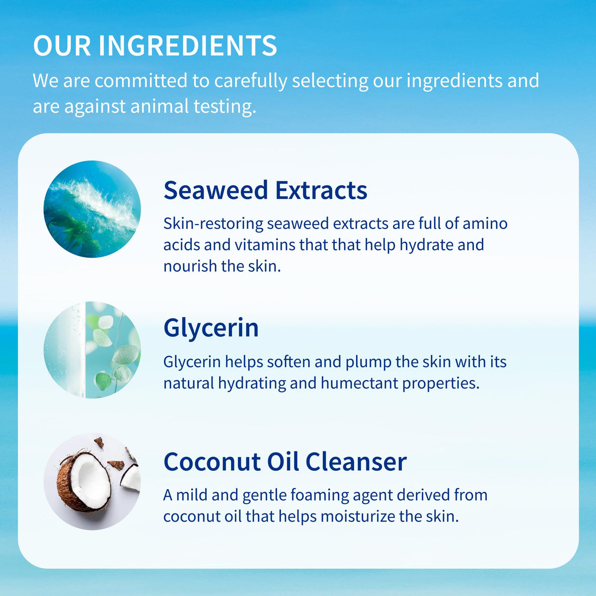 Inis the Energy of the Sea bottle with seaweed flatlay emphasizing natural extracts and nourishment