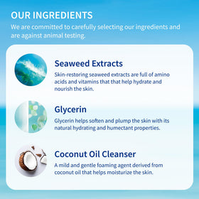 Inis the Energy of the Sea bottle with seaweed flatlay emphasizing natural extracts and nourishment