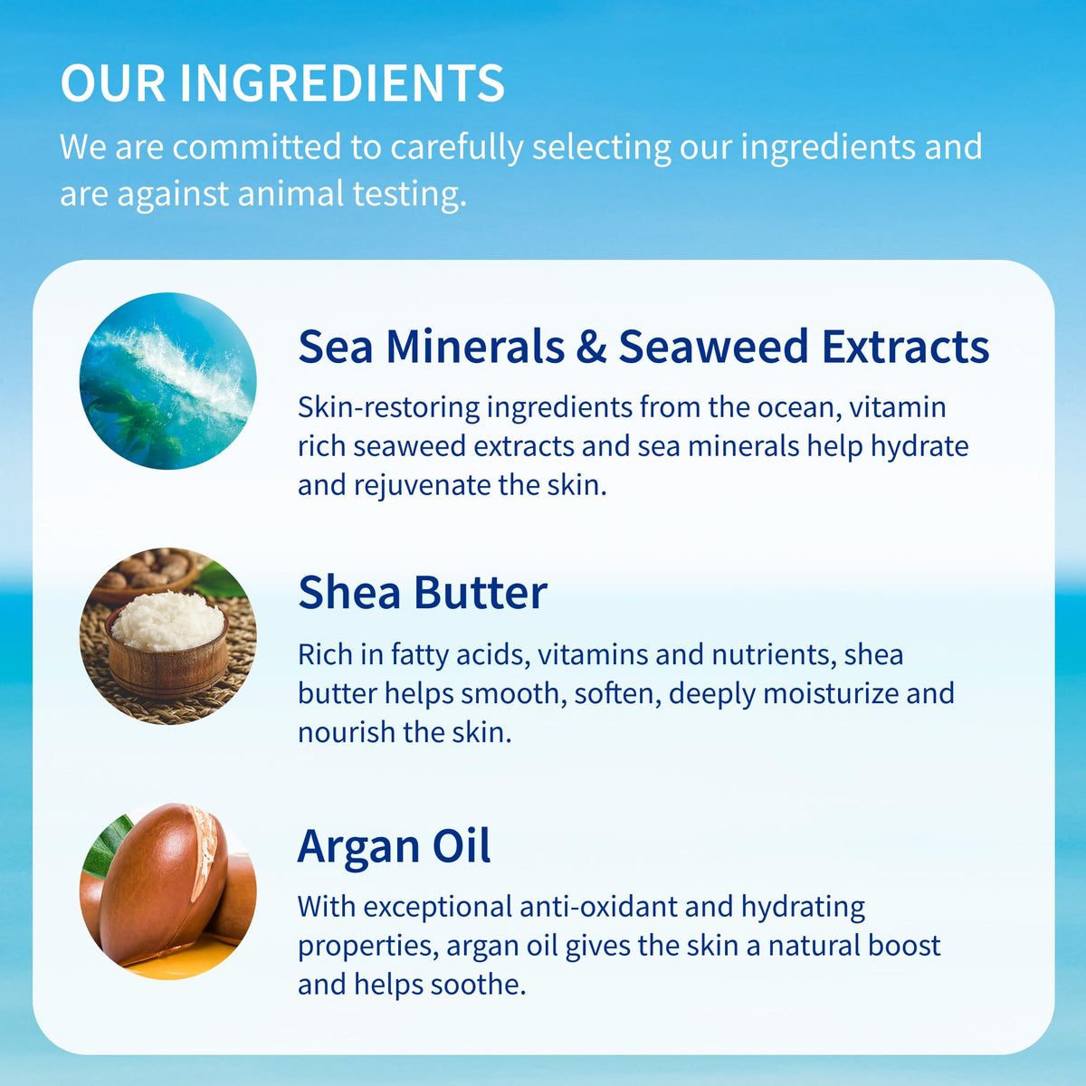 Inis seaweed and shea butter flatlay showing nourishing botanical benefit