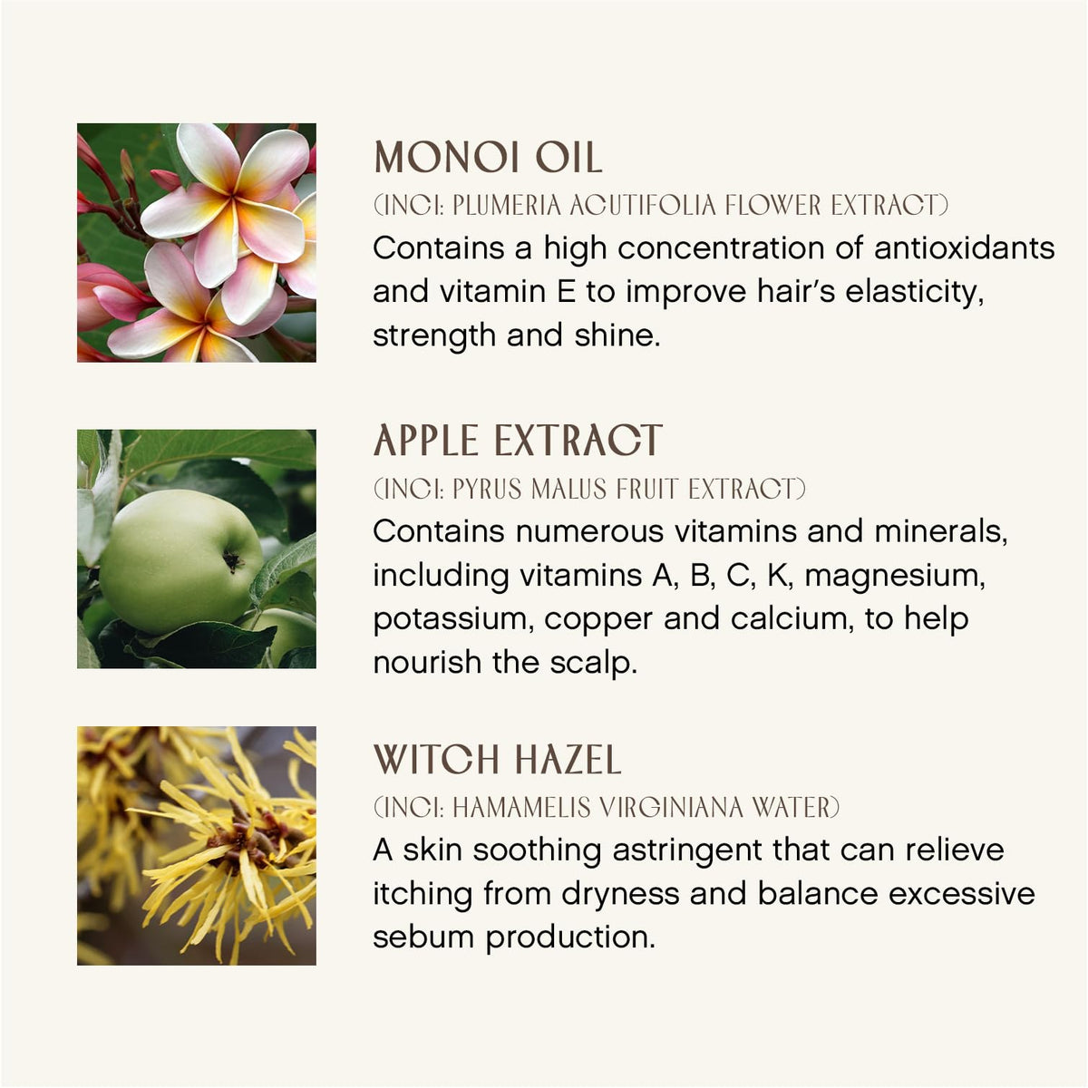 INNERSENSE apple and rice extracts indicating hydration benefits