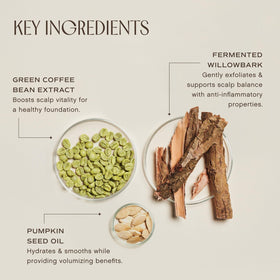 INNERSENSE green coffee beans ingredient image emphasizing scalp vitality