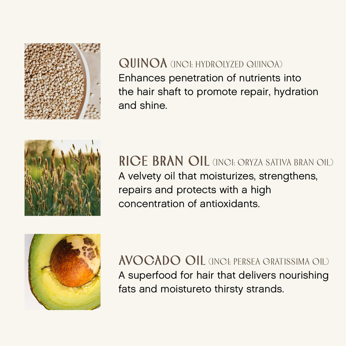 INNERSENSE botanical ingredients flatlay showing natural sourcing and nourishment benefit