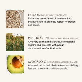 INNERSENSE botanical ingredients flatlay showing natural sourcing and nourishment benefit