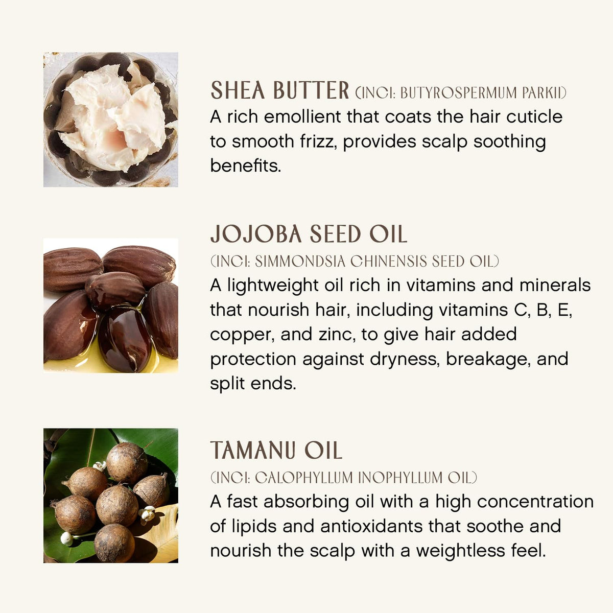 INNERSENSE applying mask to damp hair for improved softness