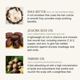 INNERSENSE applying mask to damp hair for improved softness