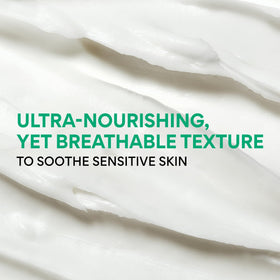 innisfree outer box and jar detail showing certified eczema-friendly seal