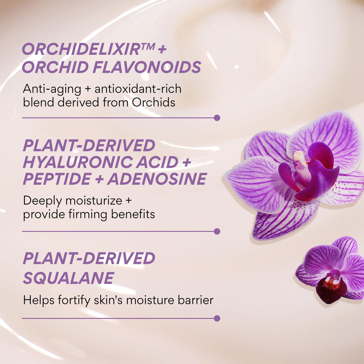 innisfree Jeju Orchid stem close-up highlighting botanical source and antioxidant benefit