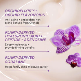 innisfree Jeju Orchid stem close-up highlighting botanical source and antioxidant benefit
