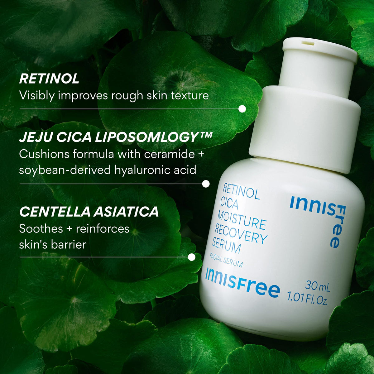 innisfree ingredient visual with centella leaves highlighting calming and barrier-support benefit