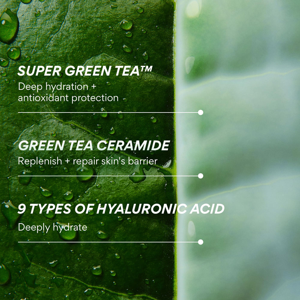 innisfree before and after skin texture improvement visual