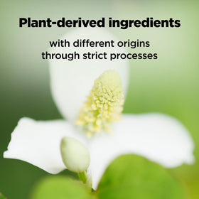 ISOI toner label close-up listing hyaluronic acids, tea tree, and ceramides for clarity