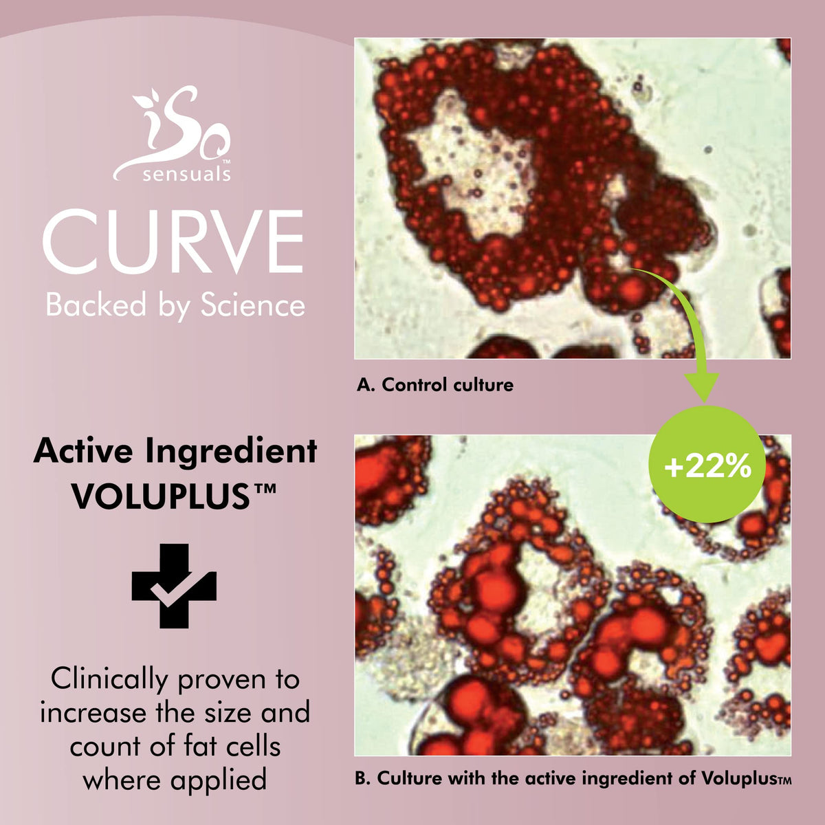 IsoSensuals CURVE being massaged into skin demonstrating application benefit