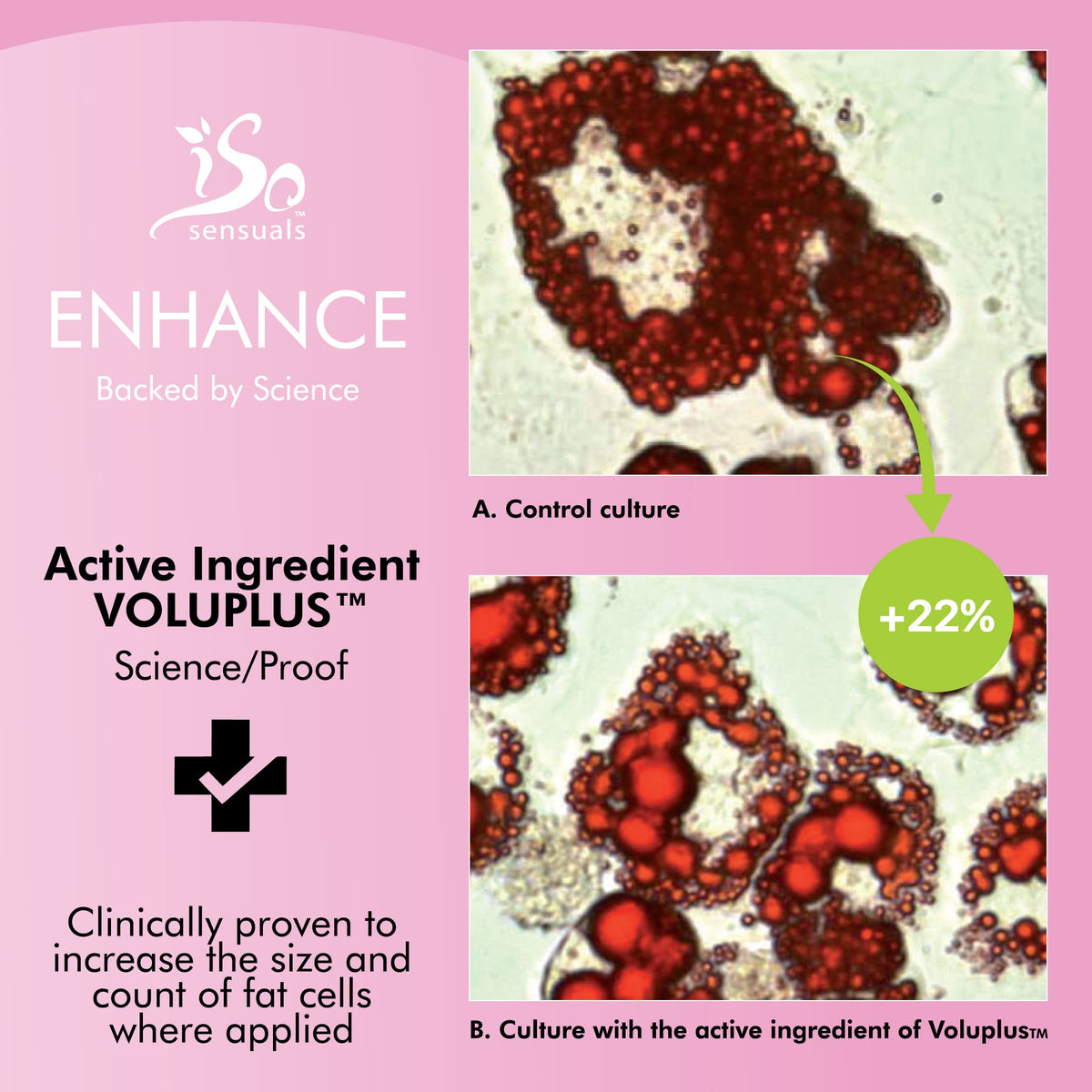 IsoSensuals ENHANCE ingredient jar with Voluplus emphasizing firming support