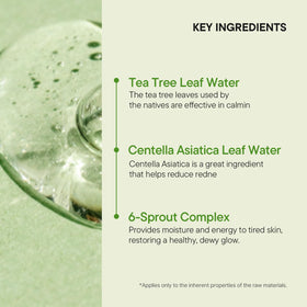 IUNIK tea tree leaves close-up highlighting natural calming ingredient