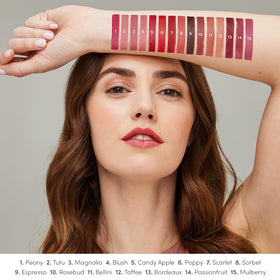 jane iredale arranged shades display showing color variety for easy selection