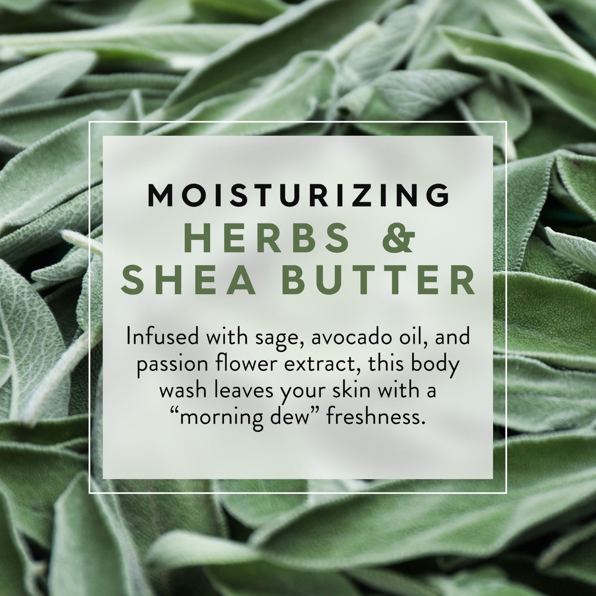 JASON creamy lather texture close-up demonstrating gentle, moisturizing foam