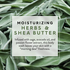 JASON creamy lather texture close-up demonstrating gentle, moisturizing foam