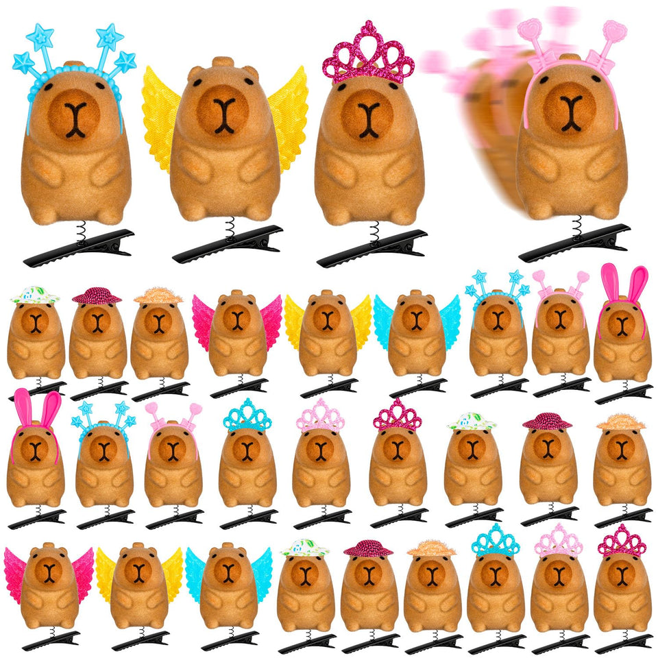 JMZYJZH front packaging showing 24 capybara clips and value benefit