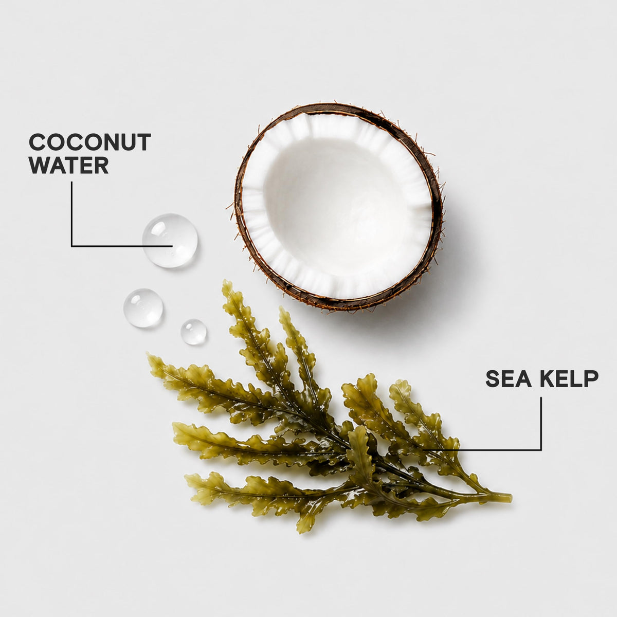 Joico HydraSplash with coconut water and sea kelp visuals highlighting natural hydration