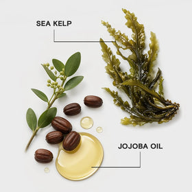 Sea kelp ingredient visual with Joico branding highlighting nutrient benefit
