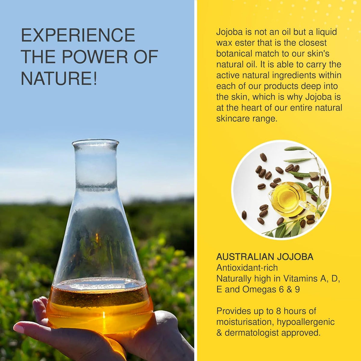 Jojoba close-up oil drop on skin highlighting silky texture and fast absorption