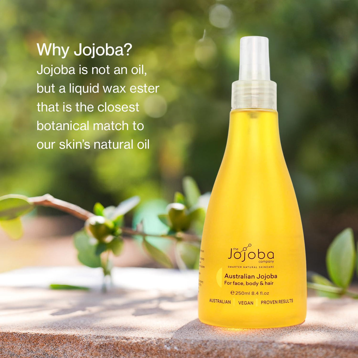 Jojoba pressed into facial skin illustrating hydration and lightweight finish