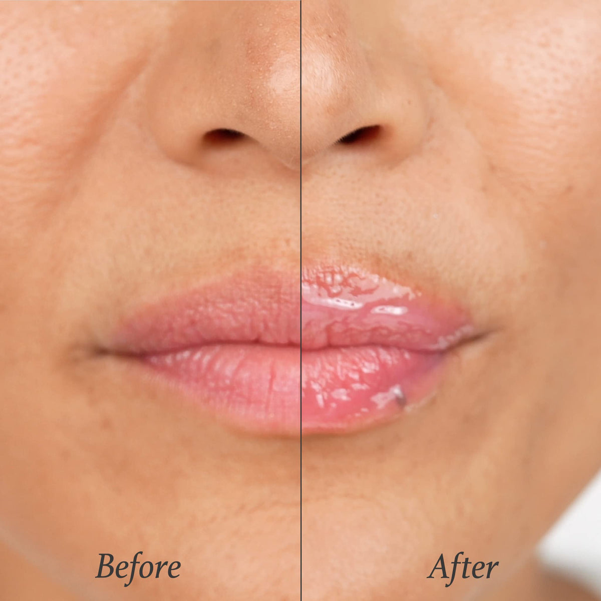Julep Songyi mushroom botanical imagery emphasizing revitalizing botanical benefit