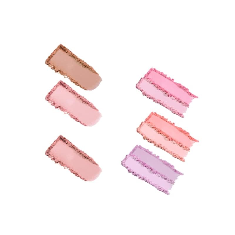 JUNG SAEM MOOL blush beside coin for scale showing compact portability