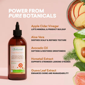 Just Nutritive botanical extracts flatlay emphasizing natural ingredient support
