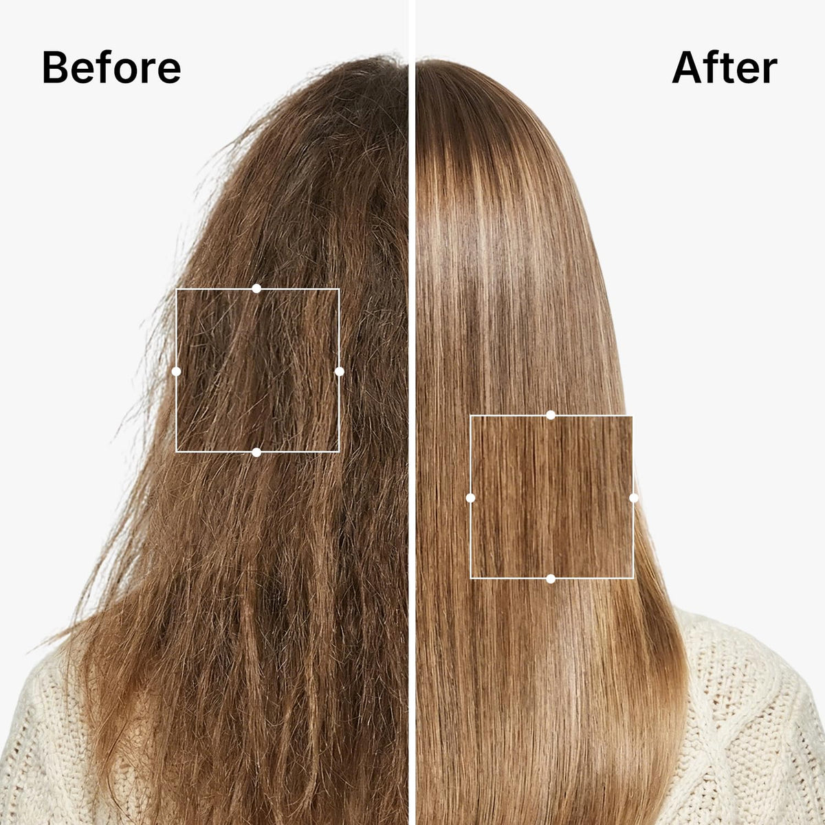 Karseell argan oil and coconut extract image showing nourishing natural ingredients