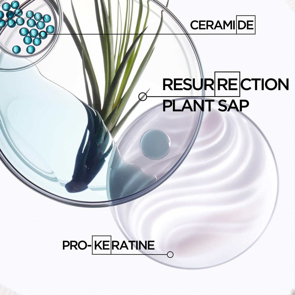 Kérastase before and after results showing smoother hair