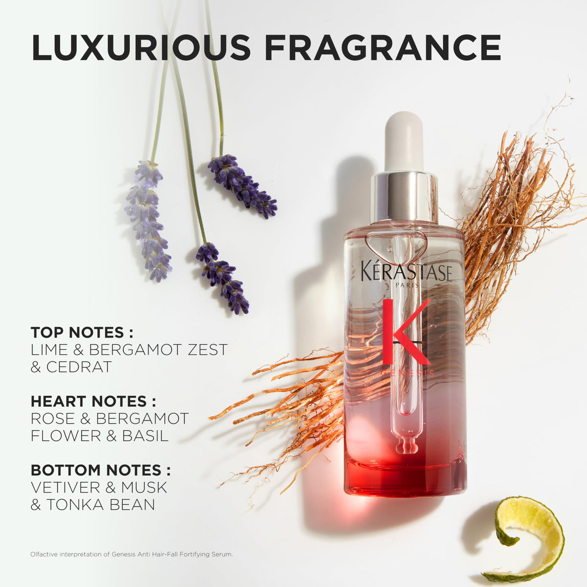 KÉRASTASE ginger and caffeine visual highlighting active ingredients