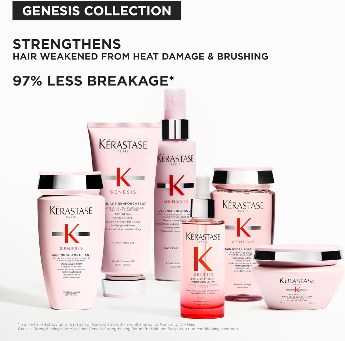 KÉRASTASE ginger root ingredient highlighting natural fortifying benefit