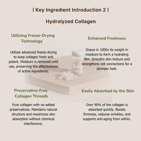 ki cosmetics ingredient flatlay displaying exosome PDRN peptide synergy