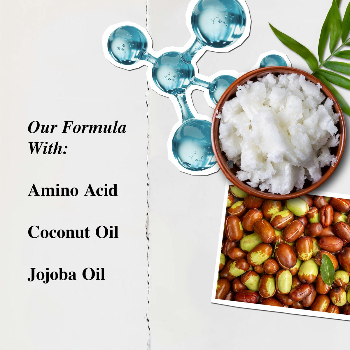 Kiehl's conditioner beside Amino Acid Shampoo for paired routine