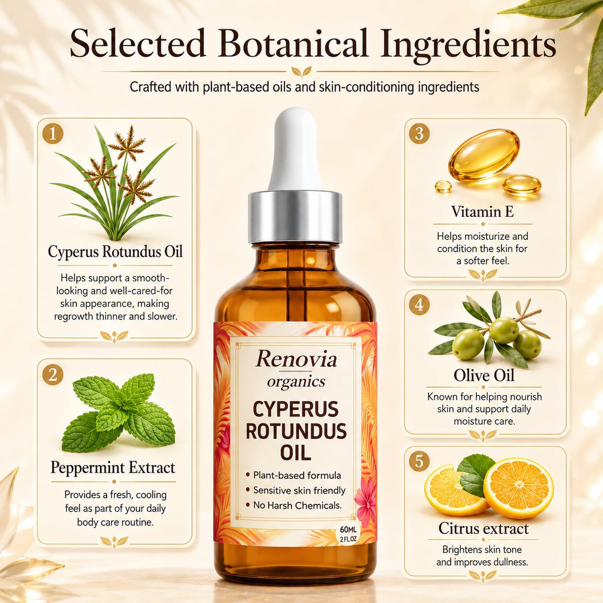 KILIBUM Renovia ingredient display with peppermint and olives, highlights natural botanical benefit