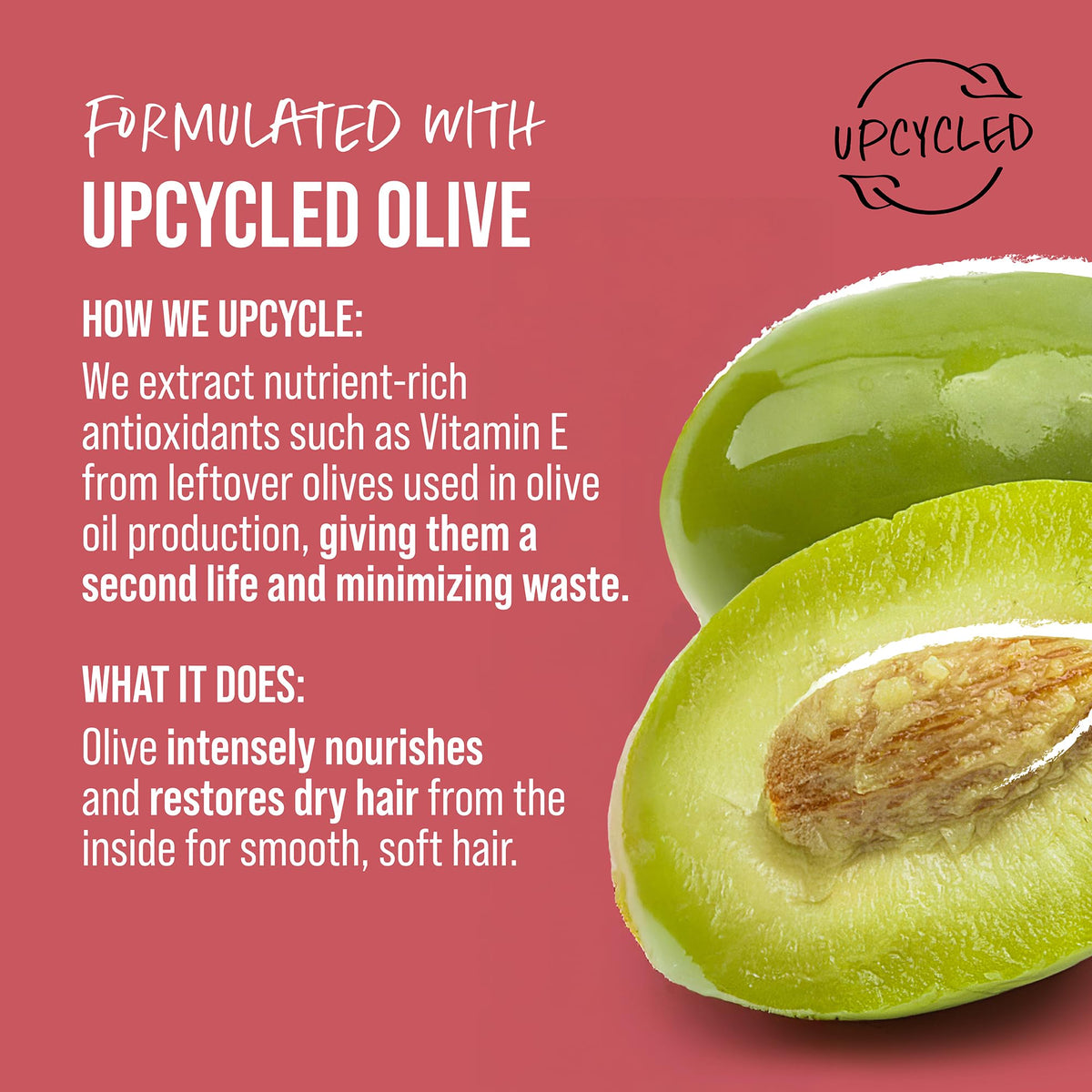 KMS AllSmooth upcycled olive ingredient close-up highlighting sustainability