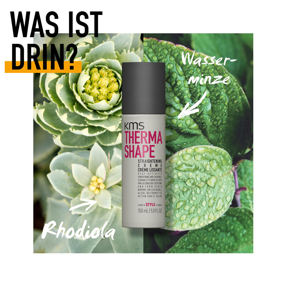 KMS Thermashape texture close-up highlighting creamy consistency for smooth styling