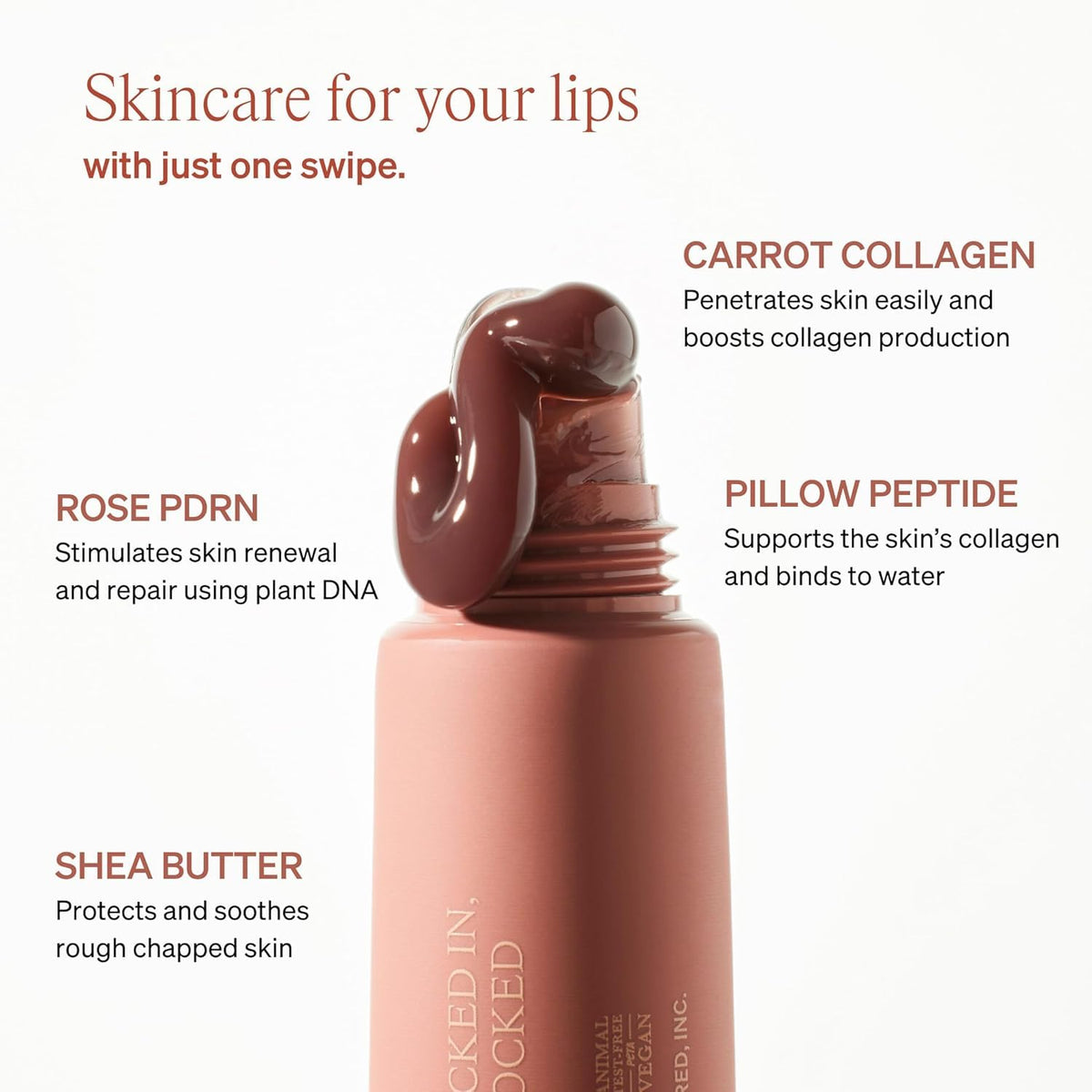 KNEMO LipLock ingredient closeup highlighting Rose PDRN for visible renewal benefit