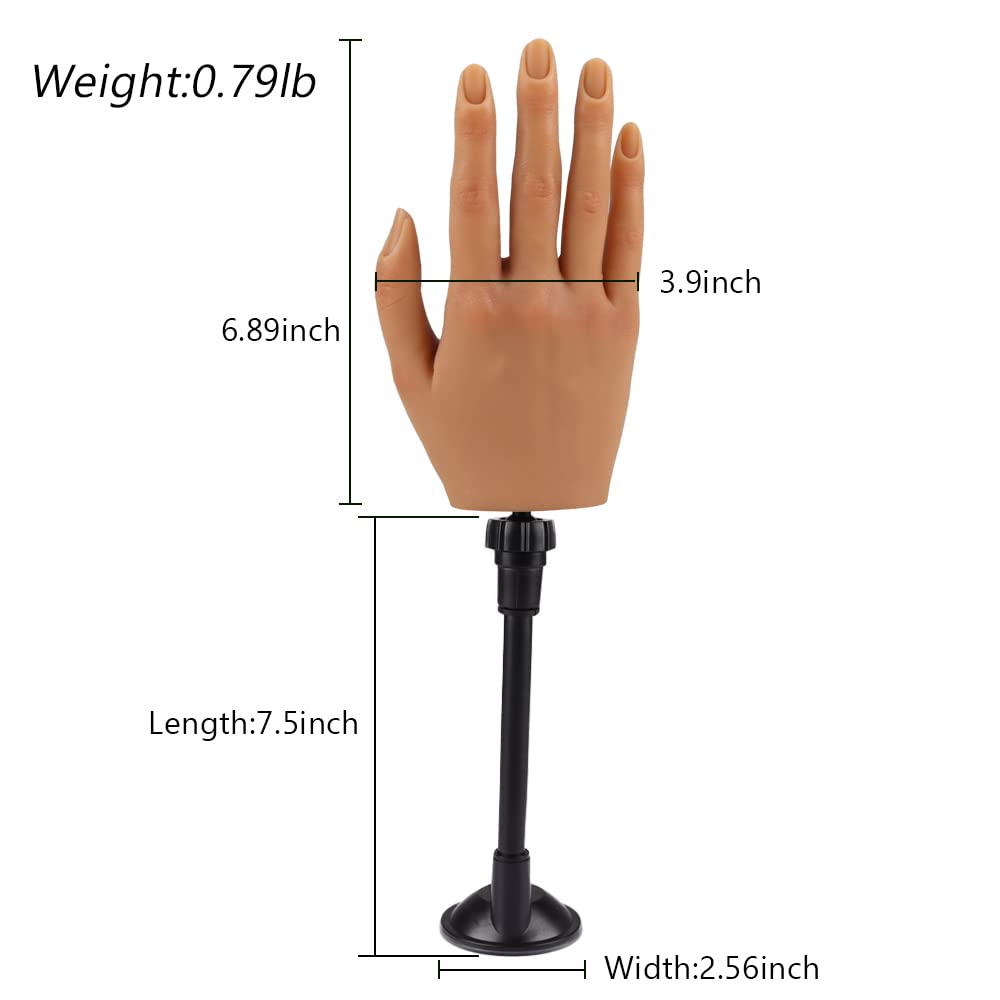 KnowU comparison with real hand to show scale and realistic proportions for practice