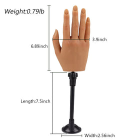 KnowU comparison with real hand to show scale and realistic proportions for practice