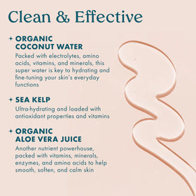 Kopari foamy lather in hand for gentle cleansing benefit