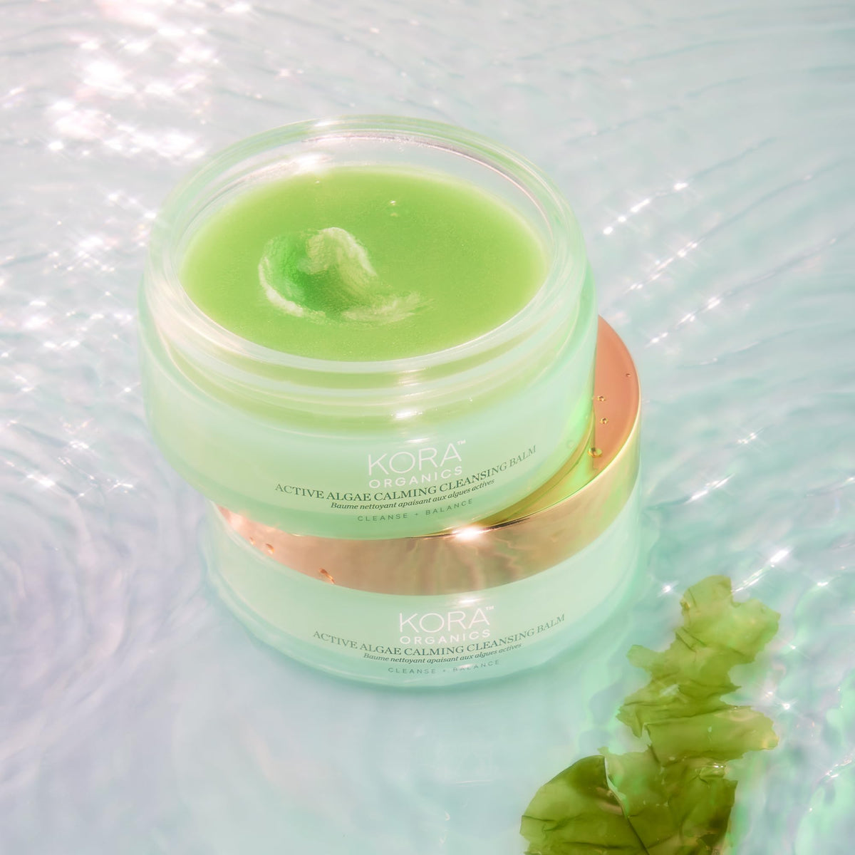 KORA Organics microalgae ingredient depiction emphasizing antioxidant support
