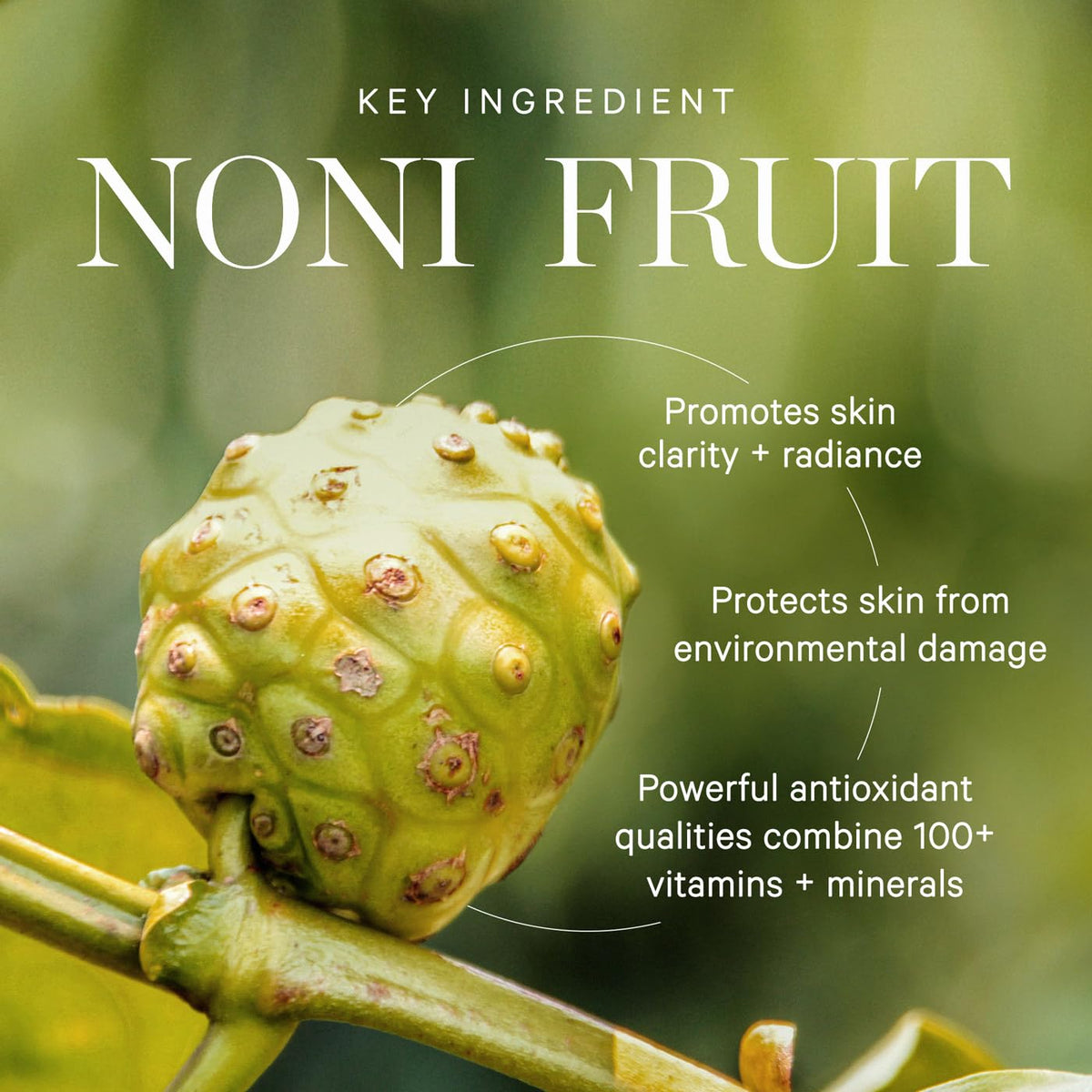 KORA Organics ingredients flatlay highlighting natural botanical benefits