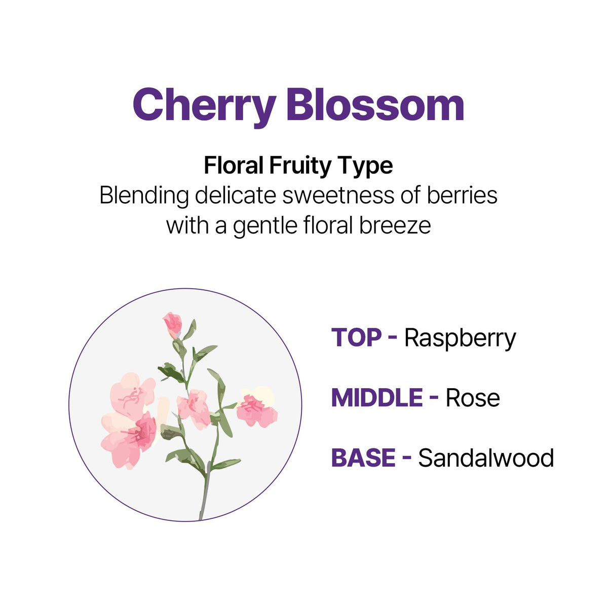 KUNDAL label ingredients closeup highlighting protein blend and botanical oils
