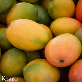 Kyabo mango butter warmed during DIY balm making showing ease for formulators benefit