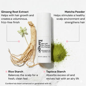 L'ANGE HAIR close-up powder texture highlighting oil-absorbing starches
