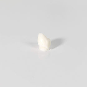 L3 before and after scale comparison showing improved volume and hold