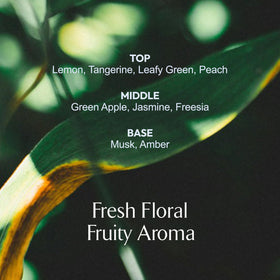 LA MUSE Homme ingredients label highlighting niacinamide, adenosine, Centella